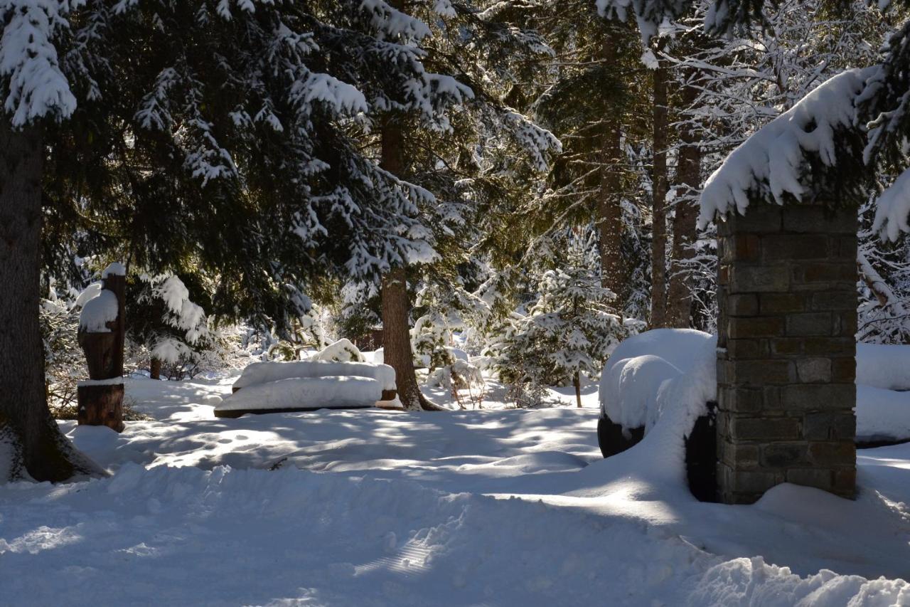Alle Pendici Del Monte Rosa Champoluc Extérieur photo